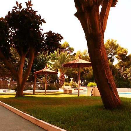 Coveta Beach Apartament El Campello Ngoại thất bức ảnh