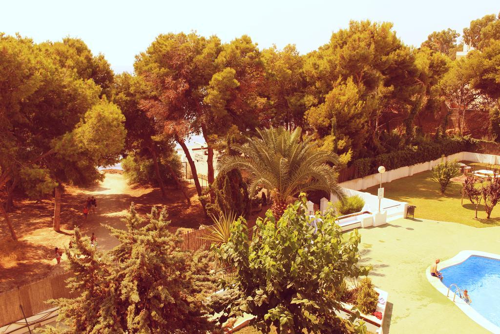 Coveta Beach Apartament El Campello Ngoại thất bức ảnh